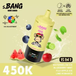 Bang Leader 450K 15-in-1 使い捨てベイプ