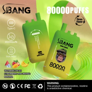 Bang Leader 80K 3-in-1 使い捨て電子タバコ
