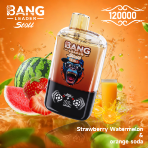 Bang Leader Stoll 120K 2-in-1 使い捨てベイプ