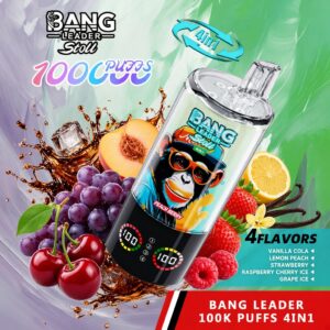 Bang Leader Stoll 4-in-1 100000 Puffs Disposable Vape - Mojito, Monster Mango, Lady Killer, Pink Lemonade