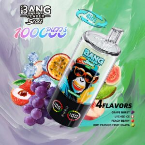 Bang Leader Stoll 4-in-1 100000 Puffs Disposable Vape - Mojito, Monster Mango, Lady Killer, Pink Lemonade