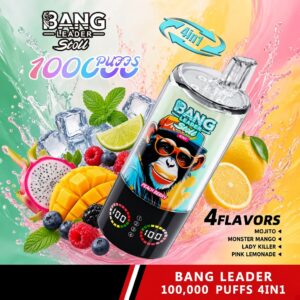 Bang Leader Stoll 4-in-1 100,000 Puffs 使い捨て電子タバコ